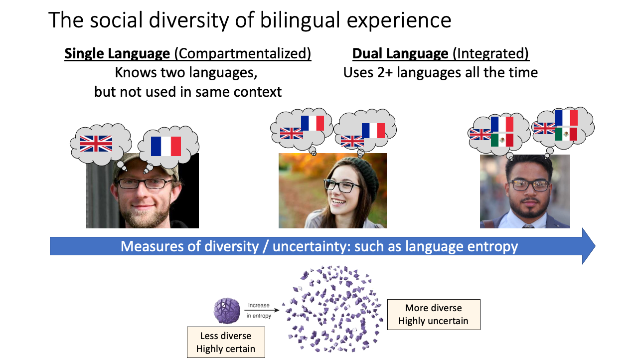 distribution of language entropy across different social contexts french-english bilinguals in montreal. contexts like reading and writing for work purposes have low language entropy. contexts like thinking and dreaming have high language entropy.